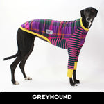 Laden Sie das Bild in den Galerie-Viewer, Ash Newman Honey Squares Greyhound Hound-Tee
