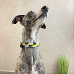 Load image into Gallery viewer, Halsband Raphael
