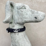 Laden Sie das Bild in den Galerie-Viewer, Halsband Jack
