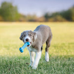 Load image into Gallery viewer, KONG Puppy Goodie Bone Puppy Small
