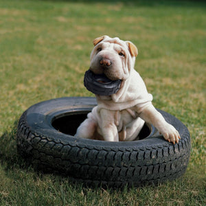 KONG Extreme Tyres Medium/Large