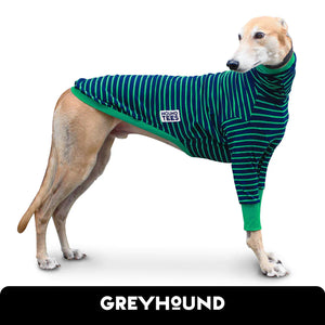Kermit Greyhound Hound-Tee