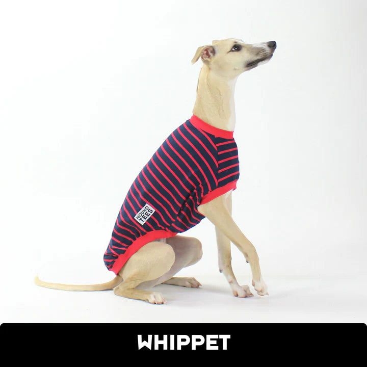 Long Bouys Whippet Hound-Tee