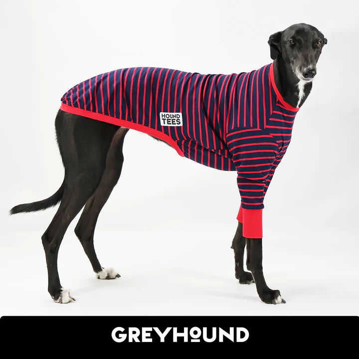 Long Bouys Greyhound Hound-Tee
