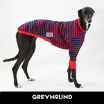 Load image into Gallery viewer, Long Bouys Greyhound Hound-Tee
