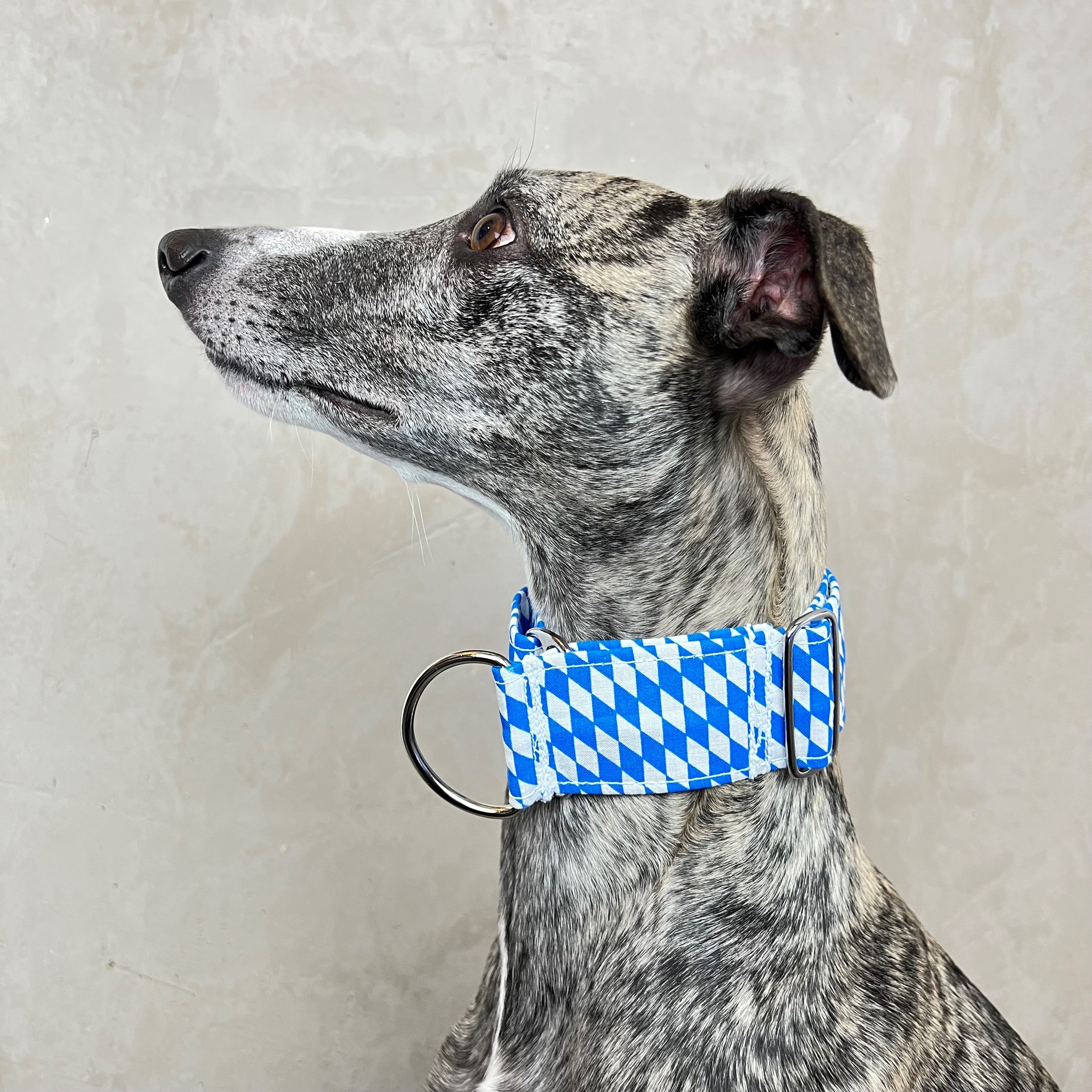 Zugstopp Halsband Ludwig