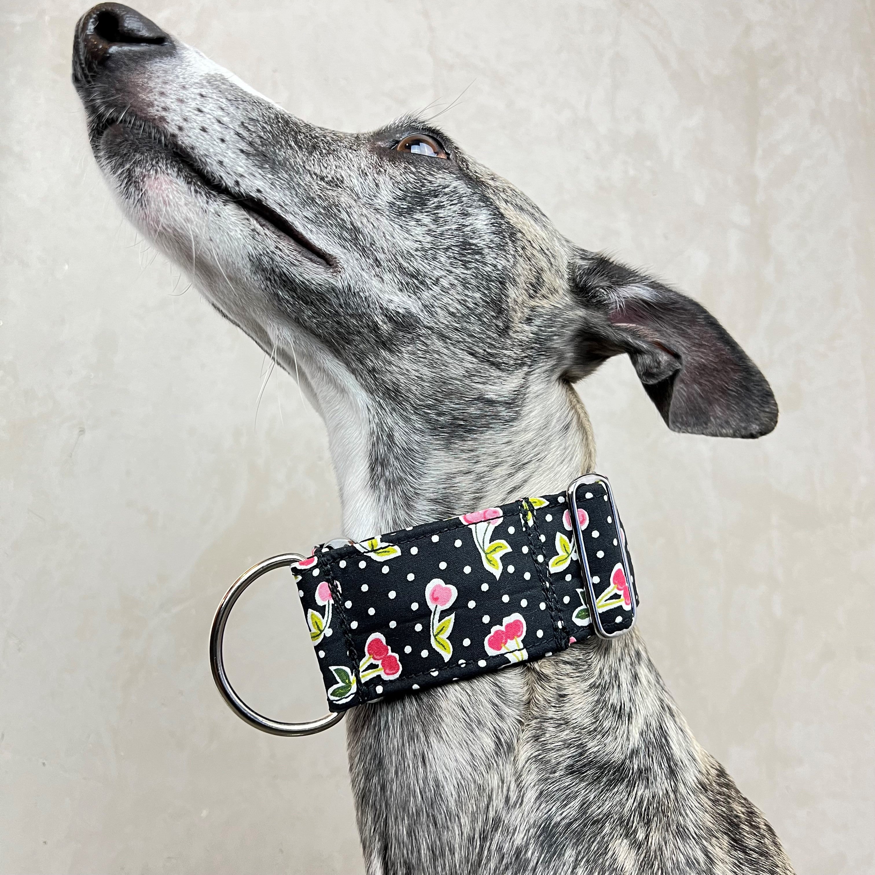 Zugstopp Halsband Melanie