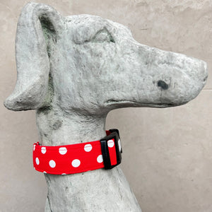 Halsband Merle