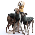 Laden Sie das Bild in den Galerie-Viewer, Outdoor Fleece Shirt | Windhunde, schmale Rassen, alle Rassen
