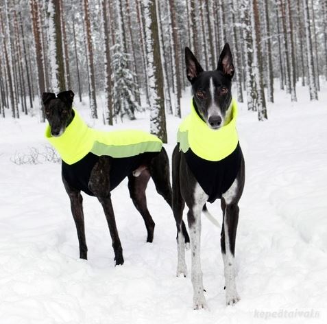 Outdoor Fleece Shirt | Windhunde, schmale Rassen, alle Rassen