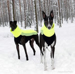 Laden Sie das Bild in den Galerie-Viewer, Outdoor Fleece Shirt | Windhunde, schmale Rassen, alle Rassen
