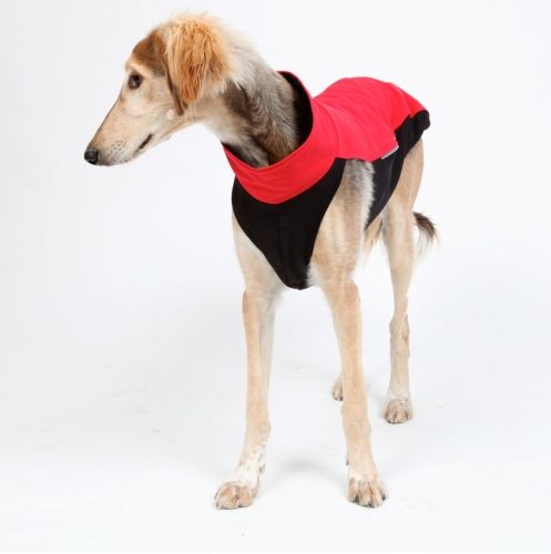Outdoor Softshell Shirt | Windhunde und schmale Rassen