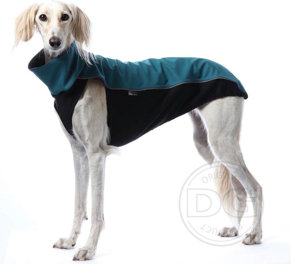 Outdoor Softshell Shirt | Windhunde und schmale Rassen