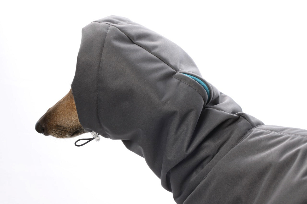 Outdoor Softshell Warm PLUS Jacke | Windhunde und schmale Rassen