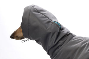 Outdoor Softshell Warm PLUS Jacke | Windhunde und schmale Rassen