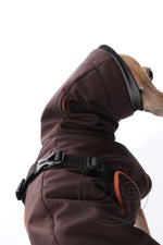Load image into Gallery viewer, Outdoor Softshell Warm PLUS Jacke | Windhunde und schmale Rassen
