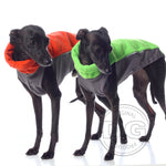 Laden Sie das Bild in den Galerie-Viewer, Outdoor Topshirt Extreme Softshell | Windhunde, schmale Rassen, alle Rassen
