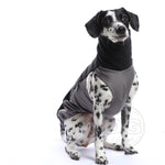 Laden Sie das Bild in den Galerie-Viewer, Outdoor Topshirt Extreme Softshell | Windhunde, schmale Rassen, alle Rassen
