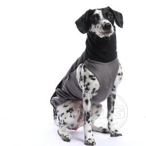Outdoor Topshirt Extreme Softshell | Windhunde, schmale Rassen, alle Rassen