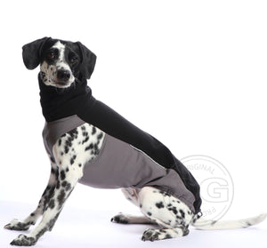 Outdoor Topshirt Extreme Softshell | Windhunde, schmale Rassen, alle Rassen
