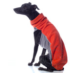 Laden Sie das Bild in den Galerie-Viewer, Outdoor Topshirt Extreme Softshell | Windhunde, schmale Rassen, alle Rassen
