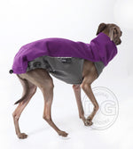 Laden Sie das Bild in den Galerie-Viewer, Outdoor Topshirt Extreme Softshell | Windhunde, schmale Rassen, alle Rassen
