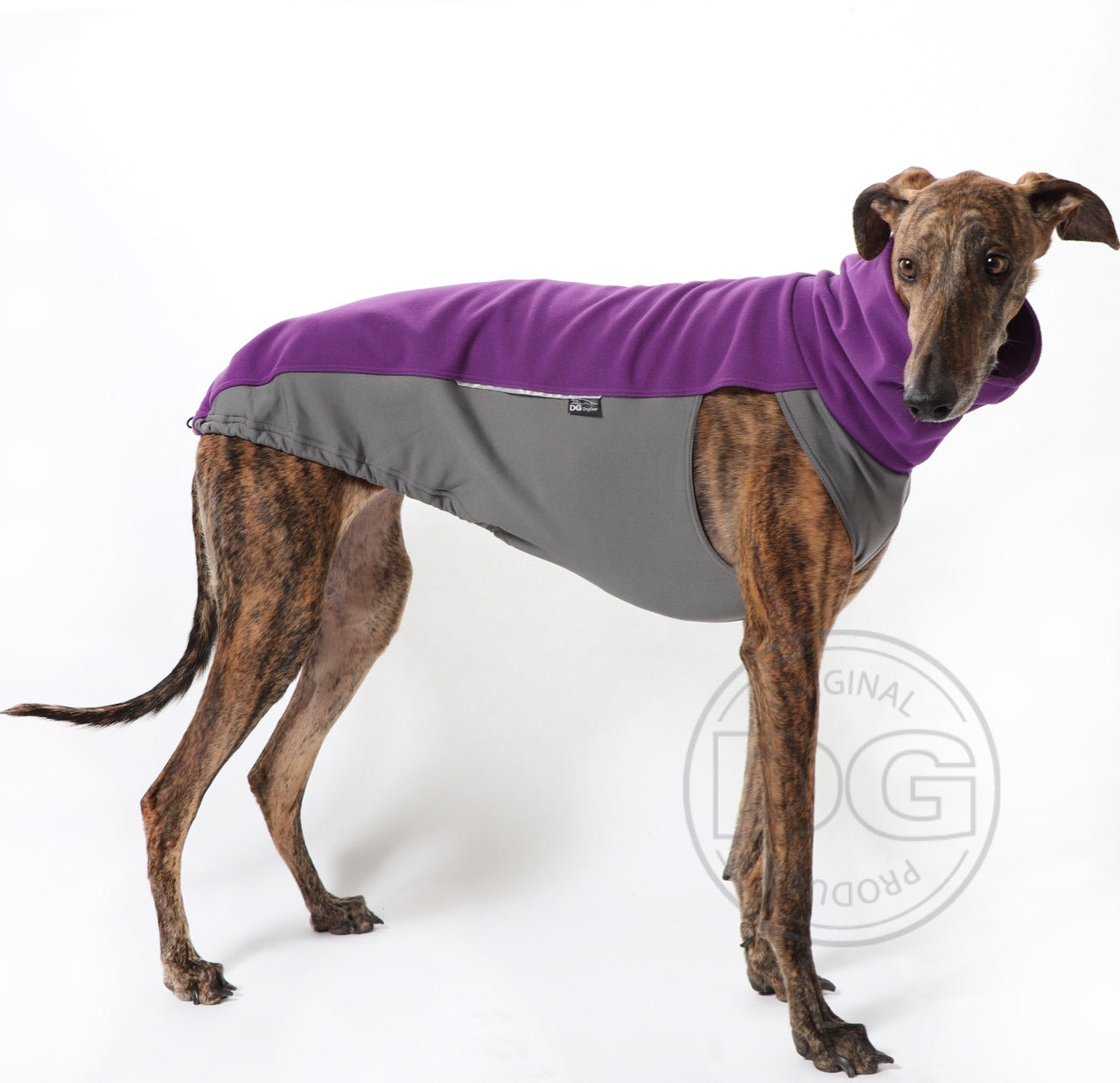 Outdoor Topshirt Extreme Softshell | Windhunde, schmale Rassen, alle Rassen