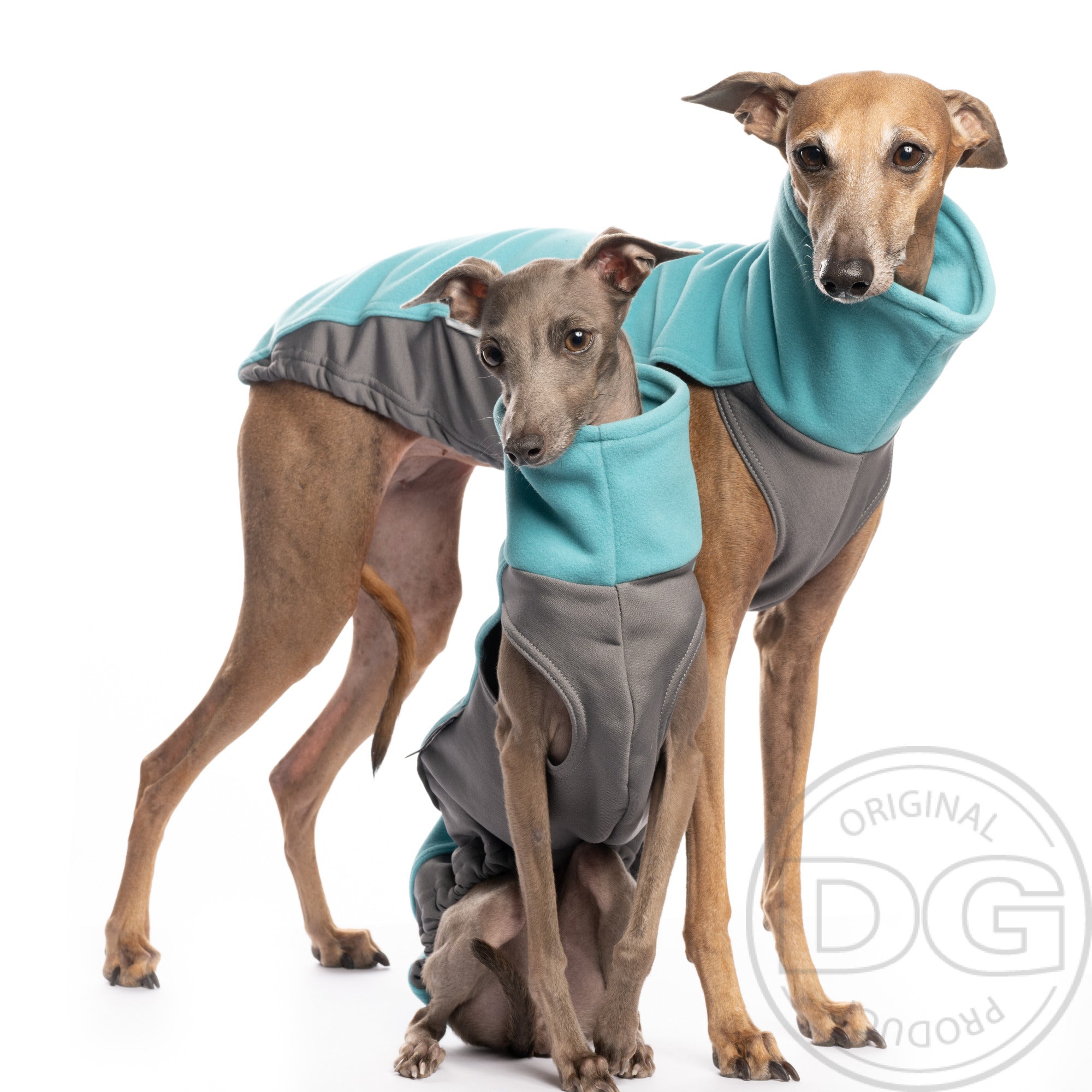 Outdoor Topshirt Extreme Softshell | Windhunde, schmale Rassen, alle Rassen