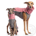 Laden Sie das Bild in den Galerie-Viewer, Outdoor Topshirt Extreme Softshell | Windhunde, schmale Rassen, alle Rassen
