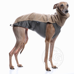 Laden Sie das Bild in den Galerie-Viewer, Outdoor Topshirt Extreme Softshell | Windhunde, schmale Rassen, alle Rassen

