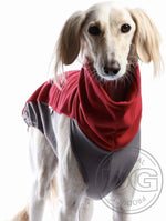 Laden Sie das Bild in den Galerie-Viewer, Outdoor Topshirt Extreme Softshell | Windhunde, schmale Rassen, alle Rassen

