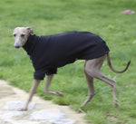 Load image into Gallery viewer, Outdoor Unterwäsche Winter | Windhunde und schmale Rassen
