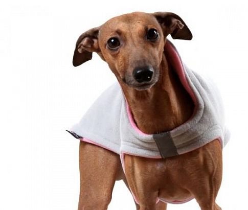 Polar-Fleece Mantel | Windhunde, schmale Rassen, alle Rassen