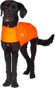 Rain Slicker - Regenmantel | Windhunde, schmale Rassen - Auslaufartikel