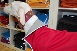 Rain Slicker - Regenmantel | Windhunde, schmale Rassen - Auslaufartikel