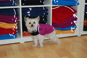 Rain Slicker - Regenmantel | Standard für alle Rassen - Auslaufartikel