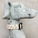 Load image into Gallery viewer, Halsband Ranger
