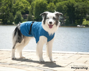 Soaker Robe - Bademantel | Standard, Windhunde und schmale Rassen