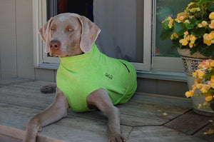 Soaker Robe - Bademantel | Standard, Windhunde und schmale Rassen