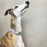 Laden Sie das Bild in den Galerie-Viewer, Halsband Sophia
