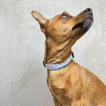 Laden Sie das Bild in den Galerie-Viewer, Halsband Sophia
