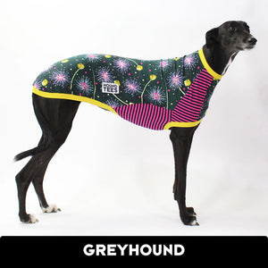 Ash Newman Sweet Senna Greyhound Hound-Tee