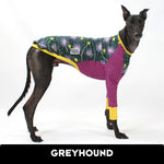 Laden Sie das Bild in den Galerie-Viewer, Ash Newman Sweet Senna Greyhound Hound-Tee
