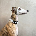 Laden Sie das Bild in den Galerie-Viewer, Halsband Tessa
