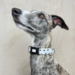 Laden Sie das Bild in den Galerie-Viewer, Halsband Tessa
