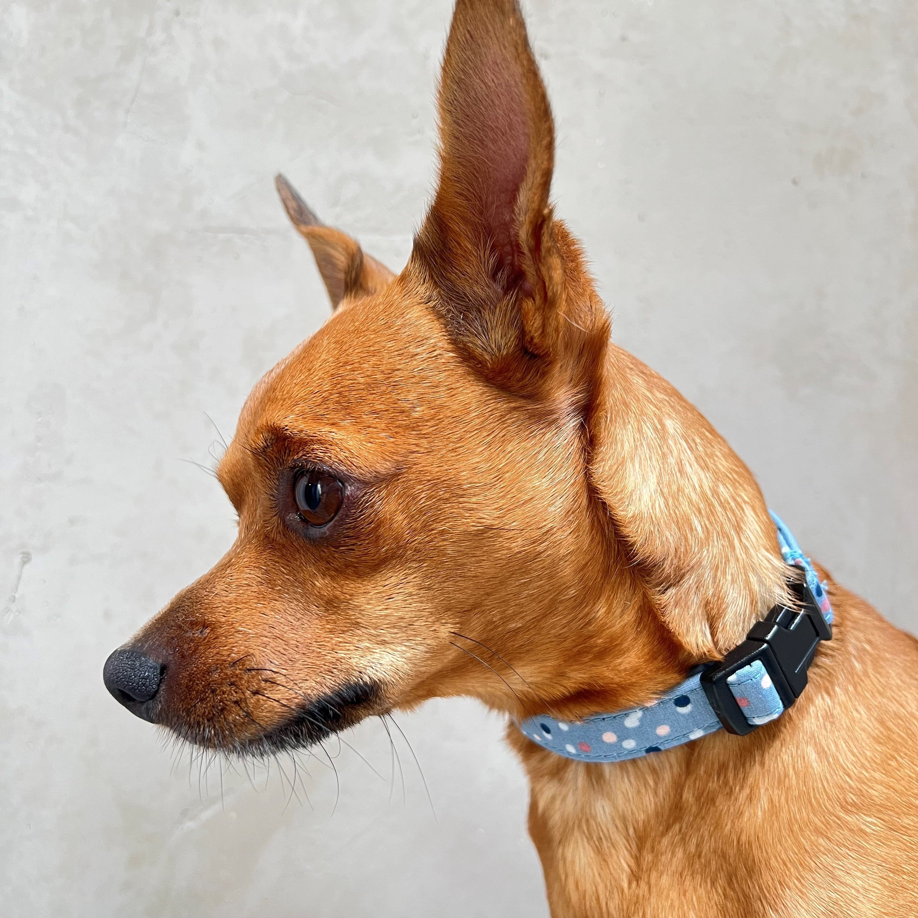 Halsband Tobias