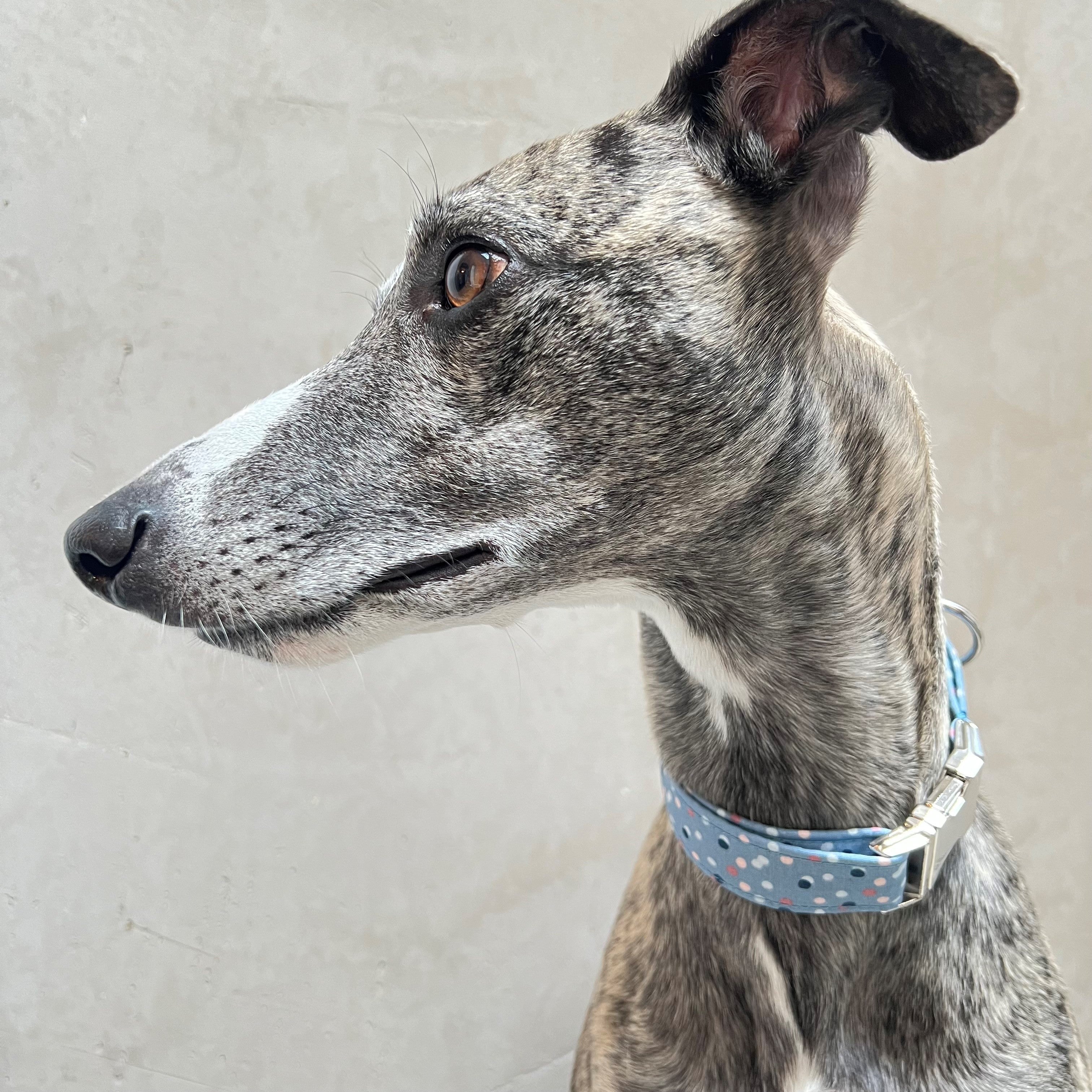 Halsband Tobias