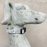 Laden Sie das Bild in den Galerie-Viewer, Halsband Tom
