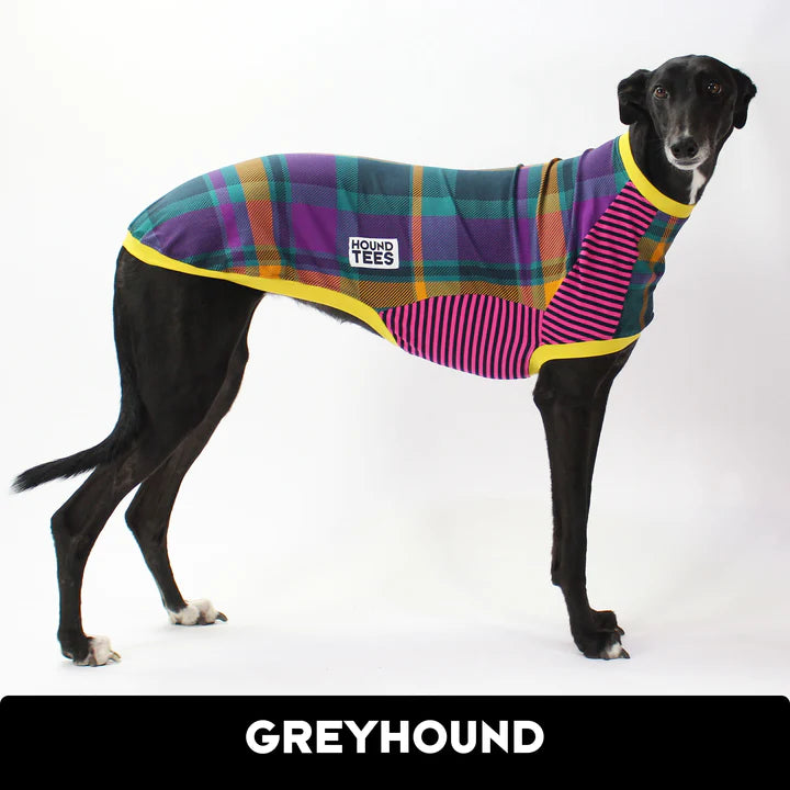Ash Newman Trash Squares Greyhound Hound-Tee