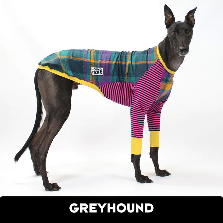 Ash Newman Trash Squares Greyhound Hound-Tee